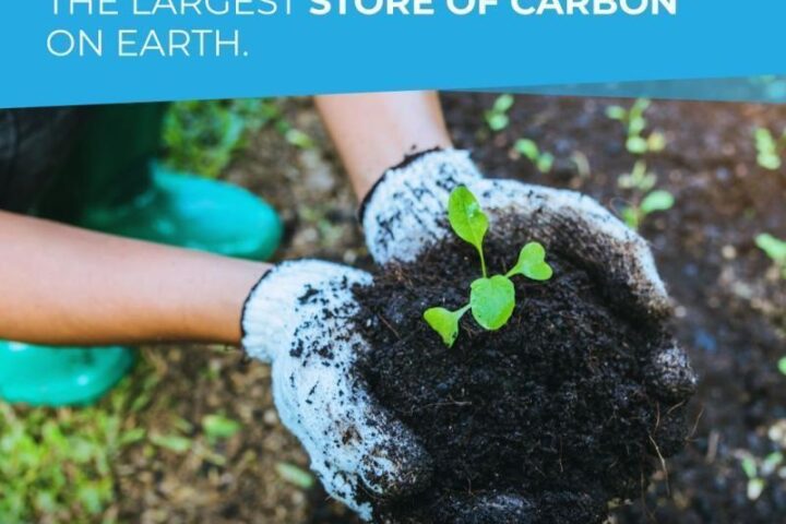 FAO: Healthy soil provide the largest store of carbon on earth..