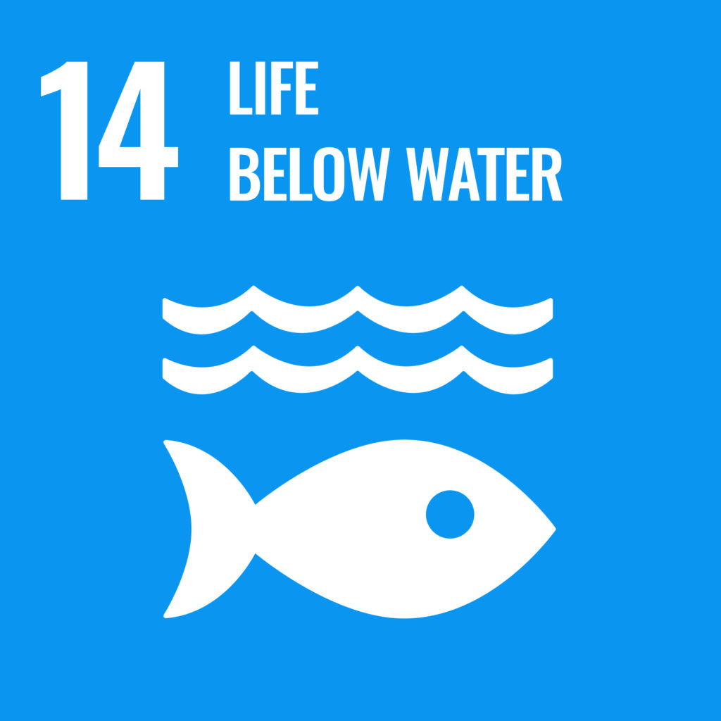 UN SDG 14