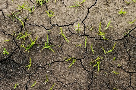 Soil – a valuable asset
