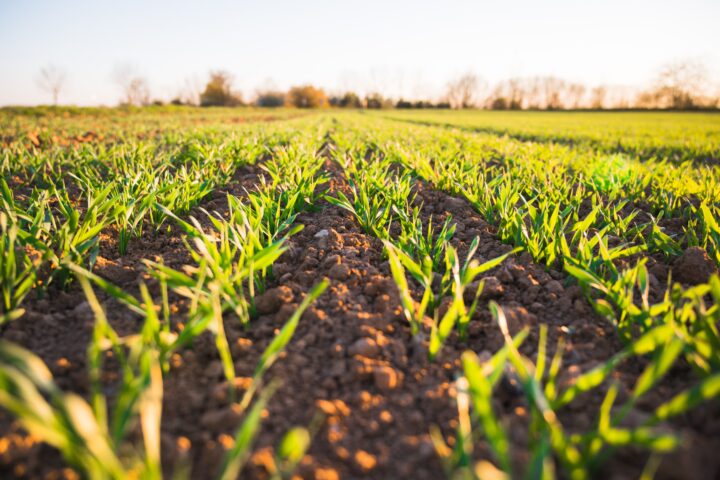SoilSteam provides a significant contribution to sustainable soil management