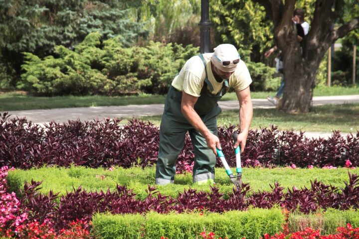 Why Landscape Gardeners Choose Steamed Soil for Park and Garden Projects